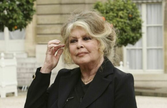 Brigitte Bardot, Kylian Mbappé… Quelles sont les stars les plus recherchées sur Google en France ?